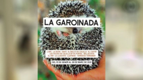 Palafrugell retira el cartell de la Garoinada 2021 i en consensuarà un de nou