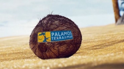 Palamós Terra de Mar 2024