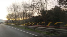 Pengen 18.000 llaços grocs a la carretera C-31