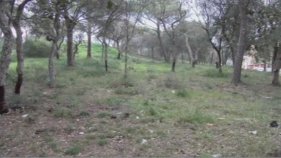 Platja d'Aro cedeix a la Generalitat els terrenys on es farà la nova Escola Fanals