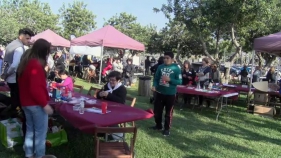 Platja d'Aro gaudeix d'un Sant Jordi compacte que li permet 'fer poble'