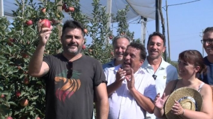 Poma de Girona preveu una collita de més de 100 mil tones per aquest 2026