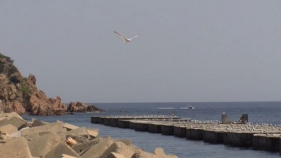 Ports de la Generalitat visita les obres del port de Sant Feliu de Guíxols