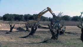 Primers remenaments de terra per construir el nou pavelló de Torroella