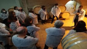 Professionals del sector enoturístic de la Costa Brava visiten la Ruta do Viño Rías Baixas