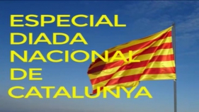 Programa Especial de la Diada Nacional de Catalunya 2020