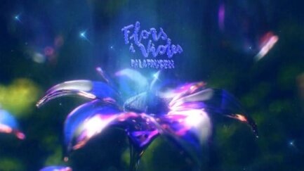 Programa Especial Flors i Violes 2025