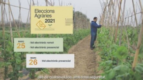 Propostes dels principals sindicats amb motiu de les eleccions agràries