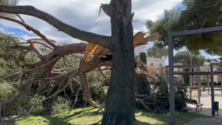 Quatre ferits lleus pel fort vendaval, un d’ells a Santa Cristina d’Aro