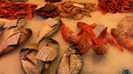 Què menja la gent els dies de Nadal?