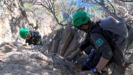 REPORTATGE Els Agents Rurals vigilen les cries de corb marí emplomallat de la Via Ferrada