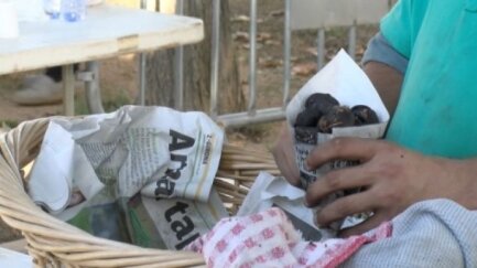 S’Agaró dona el tret de sortida a la Castanyada amb una festa plena de tradició