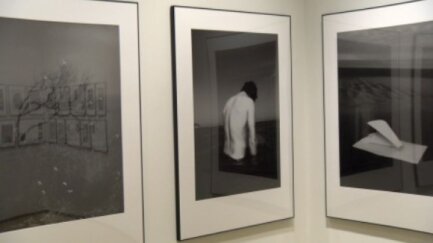 Salví Danés ens presenta l'Instint, l'exposició que acull el Palau Solterra