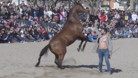 Sant Antoni Abat reuneix 1500 persones a Sant Feliu de Guíxols