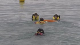 Sant Antoni prova la unitat canina de rescat marítim