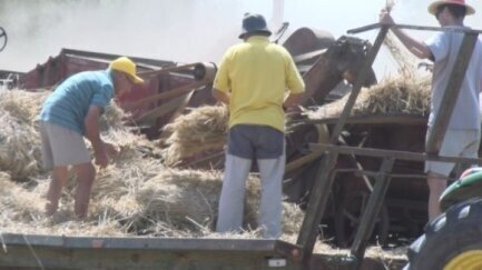 Sant Climent de Peralta manté viva la tradició amb la 31a Festa del Batre