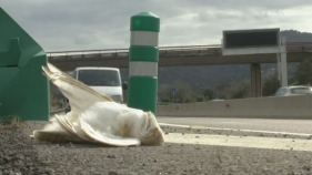 Santa Cristina d'Aro pressiona la Generalitat per la protecció dels ocells a la C-31