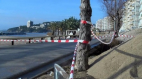 Sense data per l'inici de les obres per reparar els desperfectes del Gloria a Sant Antoni