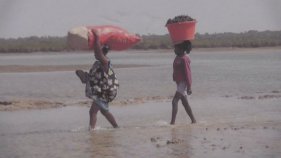 Setmana solidària de l'ONGD Junts x Ells per seguir treballant a Guinea Bissau