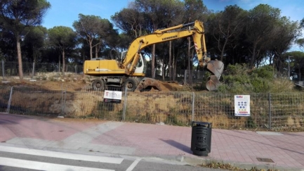 SOS Costa Brava denuncien la tala d'arbrat a la pineda de la Fosca de Palamós