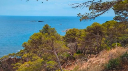 SOS Costa Brava reclama més recursos per protegir el litoral del Baix Empordà