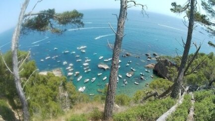 SOS Costa Brava torna a denunciar una nova onada d'embarcacions a Cap Roig-Castell