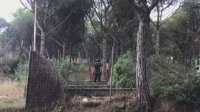 SOS Costabrava protesta contra la tala d'arbres a la Pineda de la Fosca