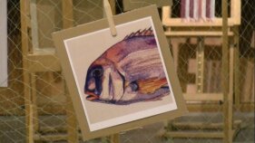 'Tela Marinera' és l'exposició temporal que es pot veure al Museu de la Pesca de Palamós