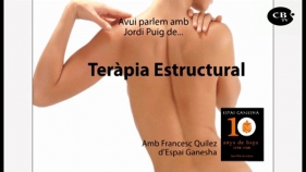 Teràpia Estructural amb Jordi Puig