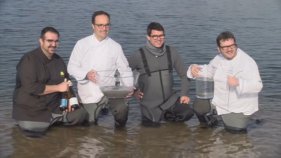 Tornen les Jornades Gastronòmiques de l'Angula del Ter i del Molí de Pals