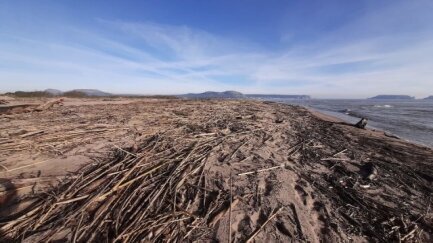 Torroella de Montgrí reclama més suport per netejar les platges