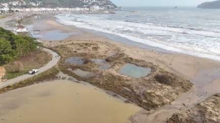 Torroella demana suport per assumir el cost de retirar els troncs arrossegats pel Ter