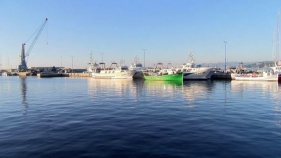 Totes les barques d’arrossegament de Palamós se sumen a la veda