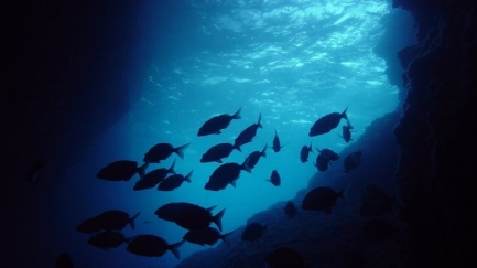 Un estudi pioner cataloga les coves submergides i semisubmergides del Montgrí