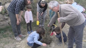 Un llibre solidari permet reforestar part del bosc que es va cremar a Colomers l'any 2013