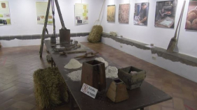 Una exposició apropa la cultura del blat a Torroella de Montgrí