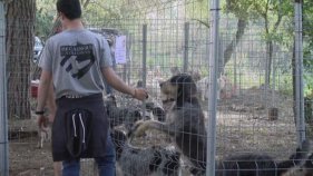 Una quarantena d'estands a la IV Girocaça de Santa Cristina d'Aro