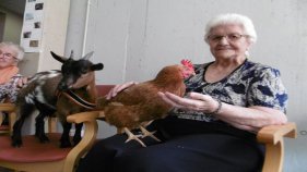 Una residència geriàtrica fa teràpia assistida amb animals