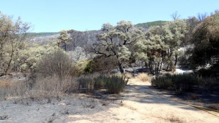 Una revifada a tocar de Mas Ambrós marca la matinada de l'incendi de les Gavarres