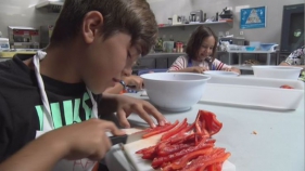 Visitem el casal d'estiu de cuina de l'Aula Gastronòmica