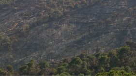 Visitem part de la zona de Castell d'Aro afectada per l'incendi