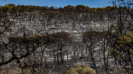 ​Els Bombers ja tenen el 80% del perímetre de l'incendi treballat, però hi ha represes