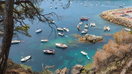​SOS Costa Brava denuncia fondejos il·legals sobre posidònia a Llafranc i reclama mesures