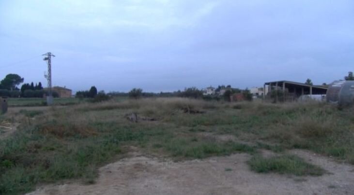 'A favor o en contra del Parc Eòlic?': la consulta popular de la Tallada d'Empordà