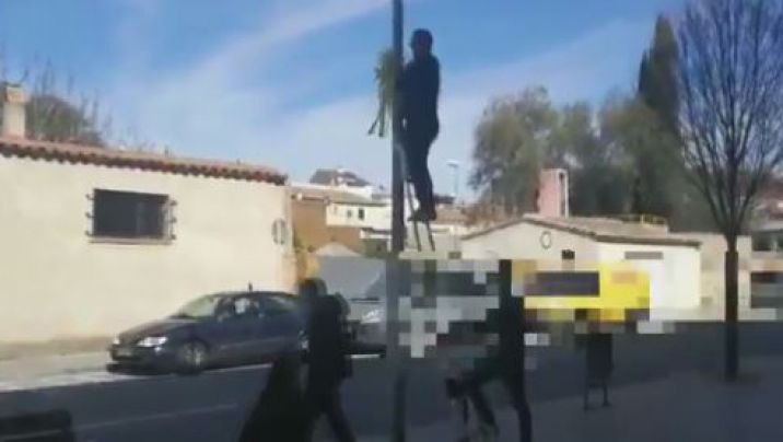 Absoltes les nou persones jutjades per arrencar una vuitantena d'estelades a Verges