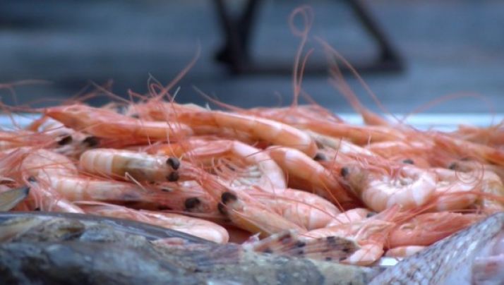 Ada Parellada serà una de les protagonsites de la 12a Fira Empordà Cuina i Salut