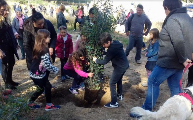 Alumnes de Begur han plantat 15 alzines per celebrar el Dia de la Terra