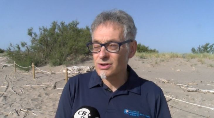 Coneixem les curiositats del corriol camanegre