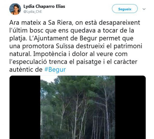 Denuncien una nova tala d'arbres, ara a Sa Riera