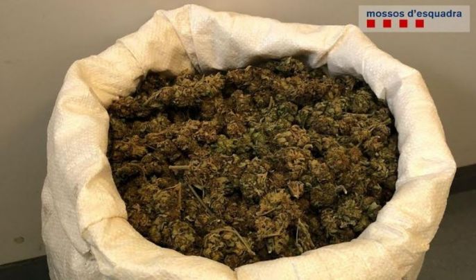 Detenen a Jafre el conductor d'una furgoneta que duia un sac ple de cabdells de marihuana